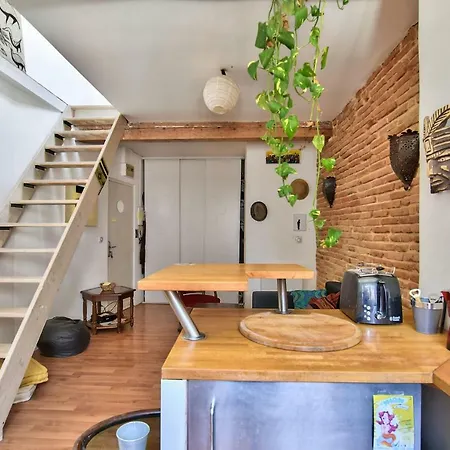 Apartamento Lovely 32m² - Saint-cyprien-republique